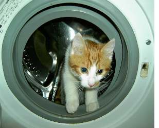 Günstige Waschmaschinen sind selten sicher.